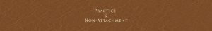 Practice and Non-Attachment