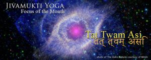 That’s It: the Jivamukti Yoga Focus of the Month