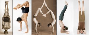 Inversions - the Jivamukti Yoga Focus of the Month