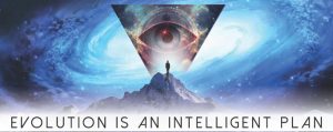 Evolution is an Intelligent Plan - the Jivamukti Yoga Focus of the Month