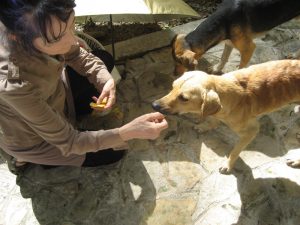 Sharon Gannon feeding street dogs in Mexico