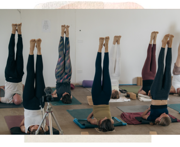 A person demonstrating Upward Facing Dog (Urdhva Mukha Svanasana)